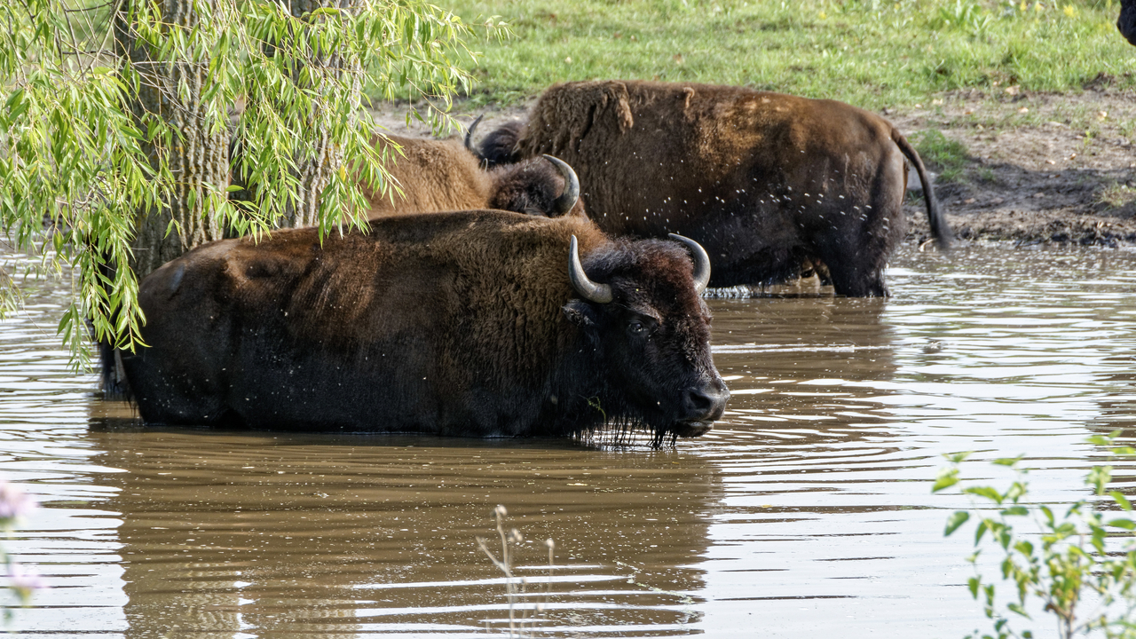 20190801-173845••North Mankato•Minnesota•USA
